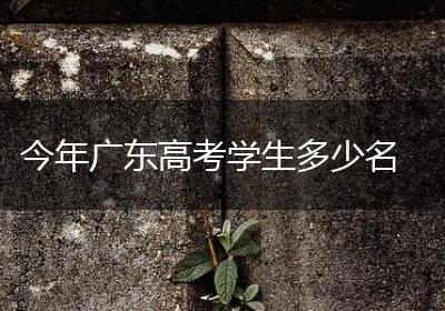 今年广东高考学生多少名