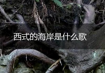西式的海岸是什么歌