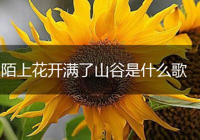 陌上花开满了山谷是什么歌