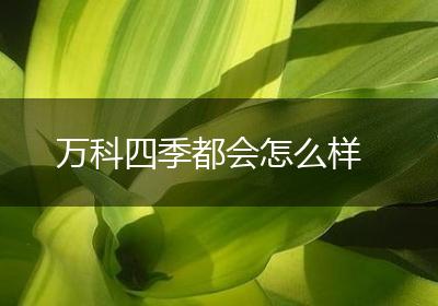 万科四季都会怎么样