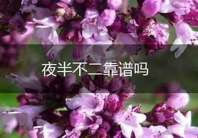 夜半不二靠谱吗