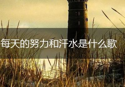 每天的努力和汗水是什么歌
