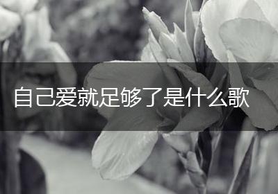 自己爱就足够了是什么歌
