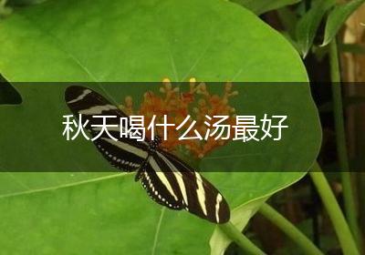 秋天喝什么汤最好