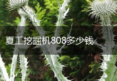 夏工挖掘机808多少钱