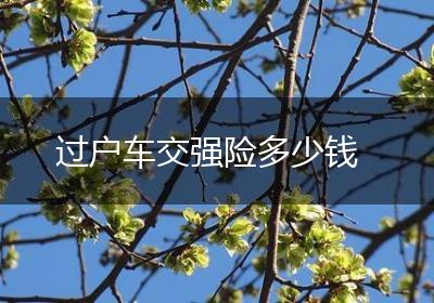 过户车交强险多少钱