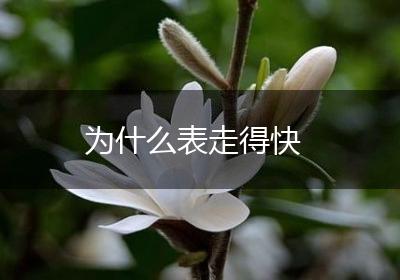 为什么表走得快