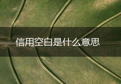 信用空白是什么意思
