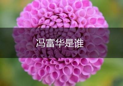 冯富华是谁
