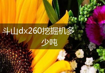 斗山dx260挖掘机多少吨