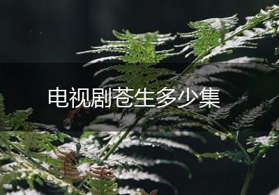 电视剧苍生多少集