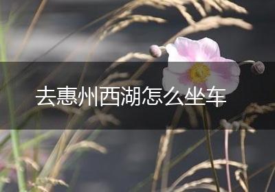 去惠州西湖怎么坐车