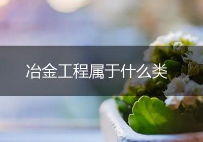 冶金工程属于什么类