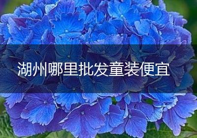 湖州哪里批发童装便宜