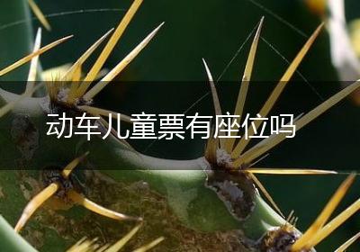 动车儿童票有座位吗