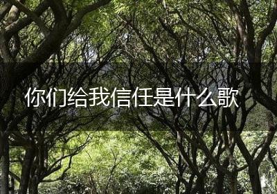 你们给我信任是什么歌
