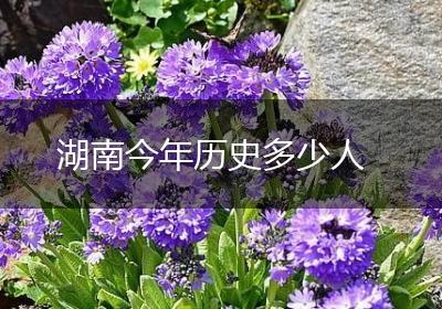 湖南今年历史多少人