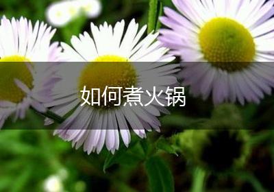 如何煮火锅