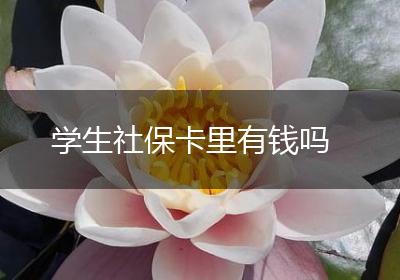 学生社保卡里有钱吗