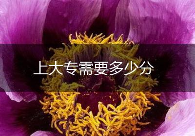 上大专需要多少分