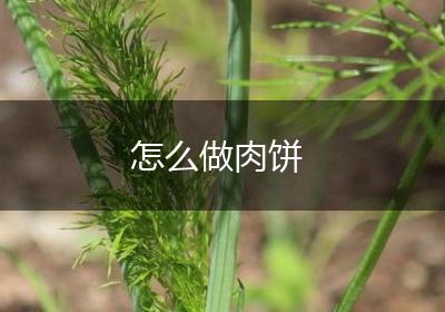 怎么做肉饼