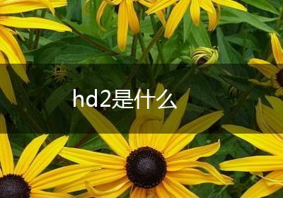 hd2是什么