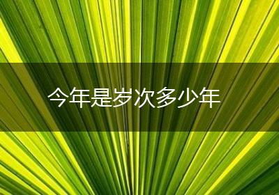 今年是岁次多少年