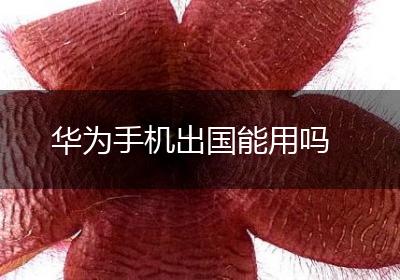 华为手机出国能用吗