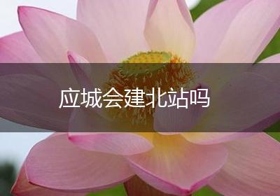 应城会建北站吗