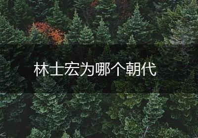 林士宏为哪个朝代