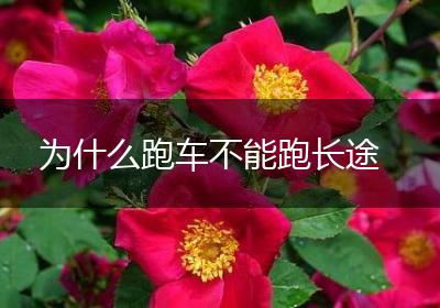 为什么跑车不能跑长途