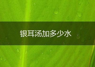 银耳汤加多少水