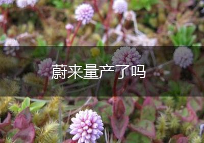 蔚来量产了吗
