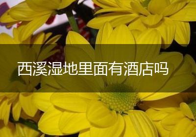 西溪湿地里面有酒店吗