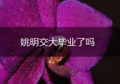 姚明交大毕业了吗