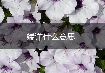 端详什么意思
