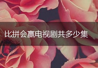 比拼会赢电视剧共多少集