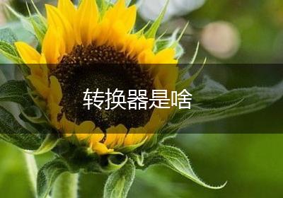 转换器是啥