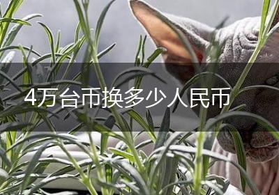 4万台币换多少人民币
