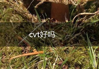 cvt好吗