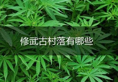 修武古村落有哪些