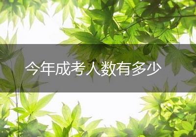 今年成考人数有多少