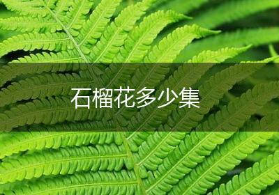 石榴花多少集