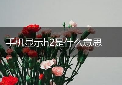 手机显示h2是什么意思