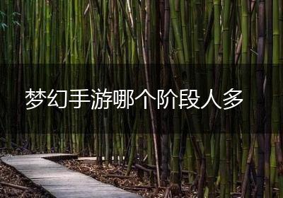 梦幻手游哪个阶段人多