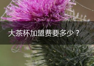 大茶杯加盟费要多少？