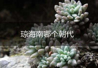 琼海南哪个朝代