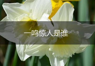 一鸣惊人是谁