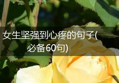 女生坚强到心疼的句子(必备60句)