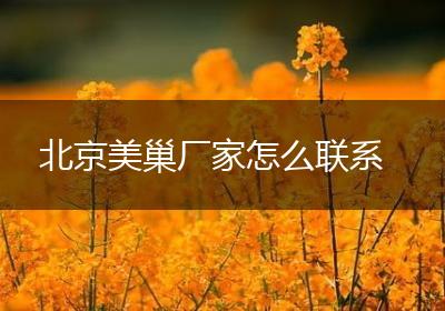 北京美巢厂家怎么联系